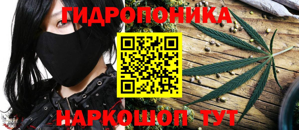 Бошки Шишки LSD WEED  Вход с VPN  Сегежа  Каннабис VHQ  Бошки марихуана Amnesia 